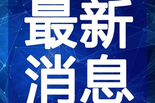如意爆料铁锤视频大全最新,铁锤视频大全独家揭秘,精彩瞬间一网打尽!